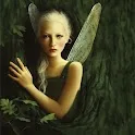 Fairy Wallpapers icon