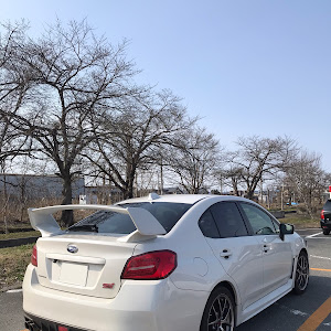 WRX STI VAB