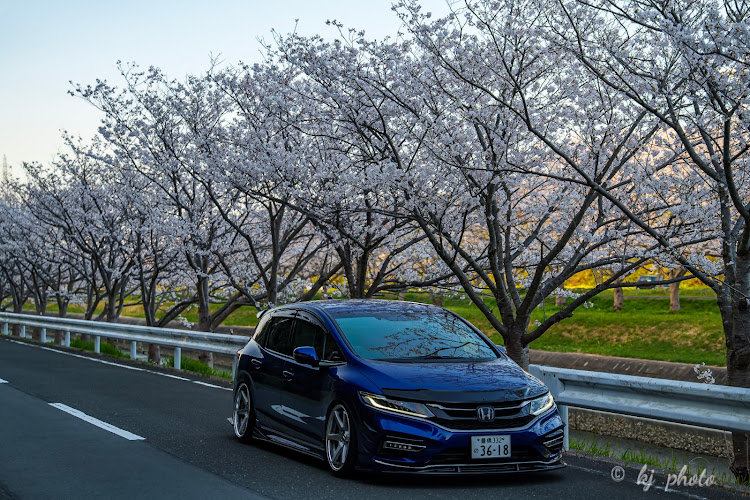 ジェイドの桜と愛車・桜シーズン開幕・漸く🌸撮影行けましたw・少しエクステリア手直ししたいなぁ・中々思うタイミングで時間が取れない💦に関するカスタム事例の投稿画像1枚目