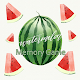 Download Memory Watermelon IC004 For PC Windows and Mac 1.1