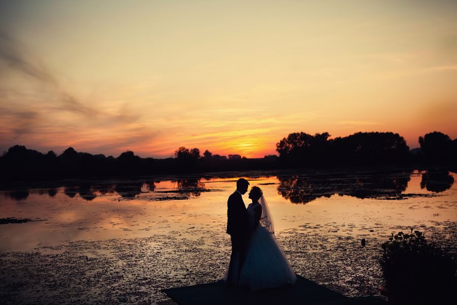 Photographe de mariage Oleg Polischuk (olegpolishchuk). Photo du 25 février 2016