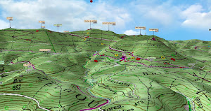 Ballons des Vosges - Topoguide Top3D Clu