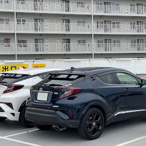 C-HR ZYX10