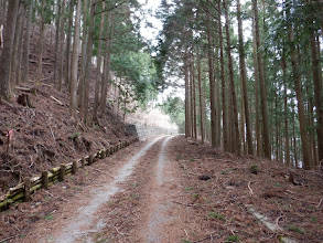 高低差の少ない道