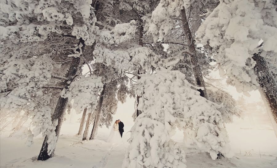 Düğün fotoğrafçısı Aleksandr Soroka (soroka86). 14 Kasım 2016 fotoları