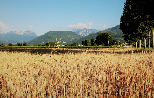 Il mattino ha l'oro in bocca di AlexSandra