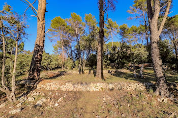 terrain à Flayosc (83)