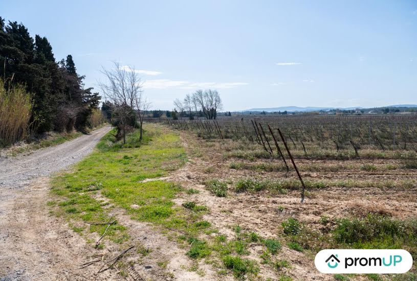  Vente Terrain à bâtir - à Peyriac-de-Mer (11440) 