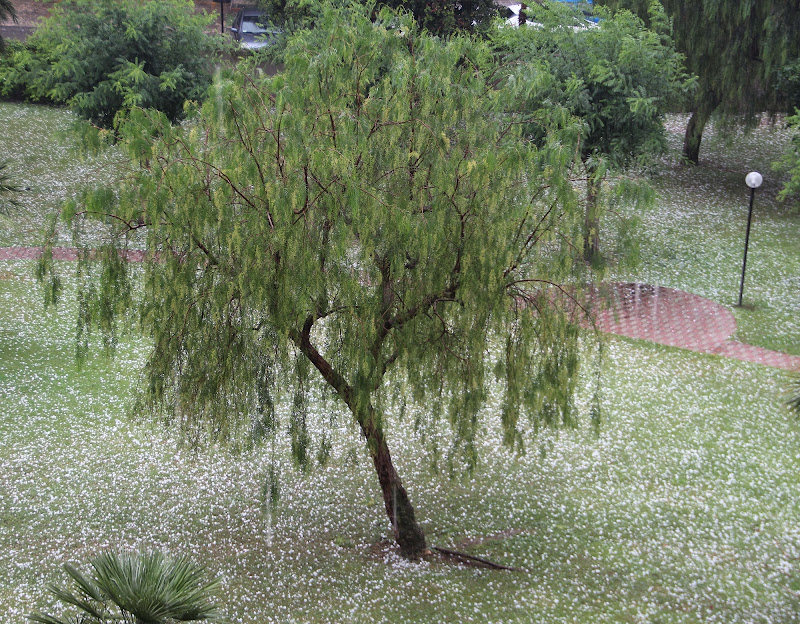 temporale d'estate di seria