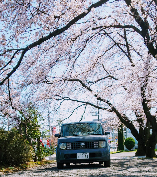 の投稿画像1枚目