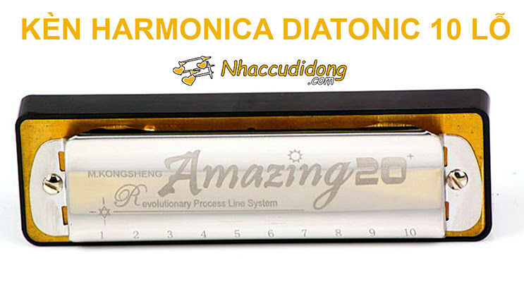 kèn harmonica 10 lỗ