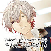 Voicesupplement 4.1 Icon