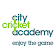 City Cricket Academy  icon