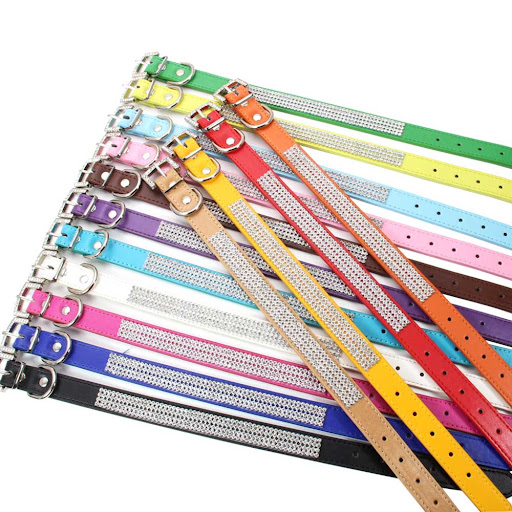 Title 1, Water Drill Pet Collar