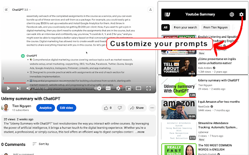 YouTube summary with custom ChatGPT prompts Preview 2