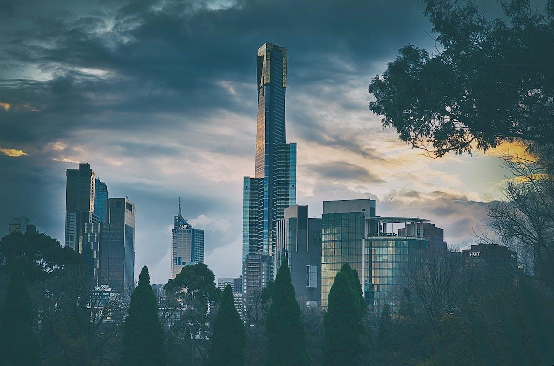 Free Silhouette of Trees Near Building Under Gray Sky Stock Photo