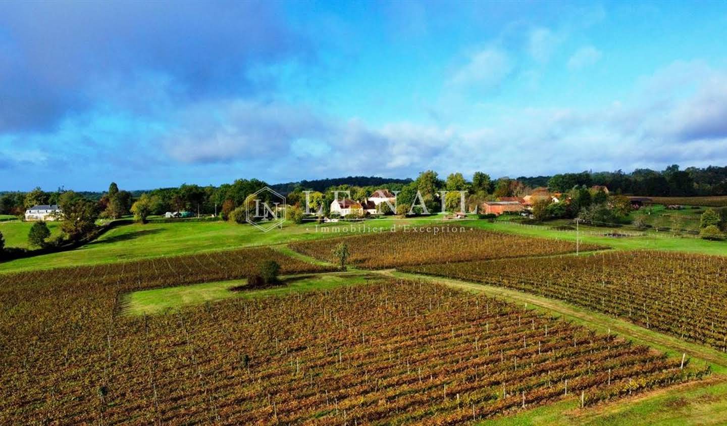 Vineyard Bergerac