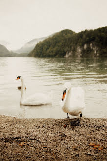 Jurufoto perkahwinan Viktoria Liashenko (liashenkophoto). Foto pada 17 September 2021