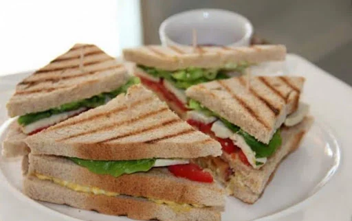 Vegetable Filled Grilled Wheat Sandwich