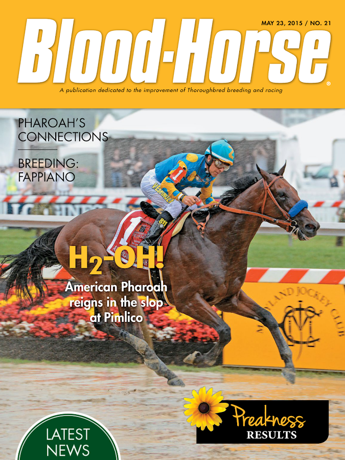 BloodHorse Magazine Android Apps on Google Play