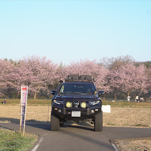 ランドクルーザープラド TRJ150W