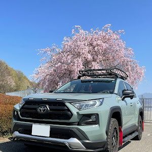 RAV4 MXAA54