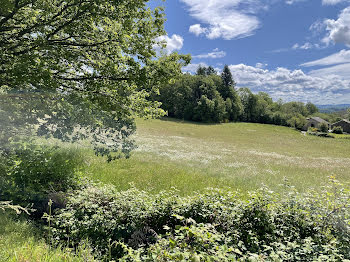 terrain à Saint-Denis-des-Murs (87)