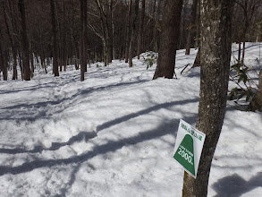 登山道を戻る