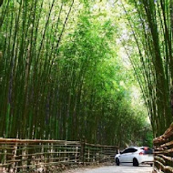 竹林土雞城海鮮餐廳