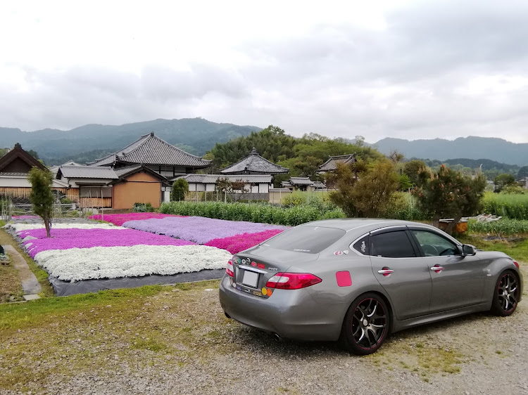 フーガの芝桜🌸・奈良県高市郡明日香村飛鳥・飛鳥寺と蘇我入鹿の首塚の間・私有地許可頂いたに関するカスタム事例の投稿画像4枚目