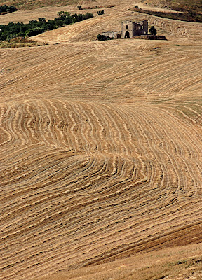 Masseria Minervino di Princi Felice