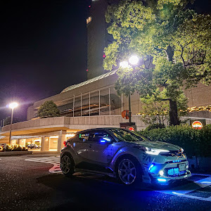 C-HR ZYX10