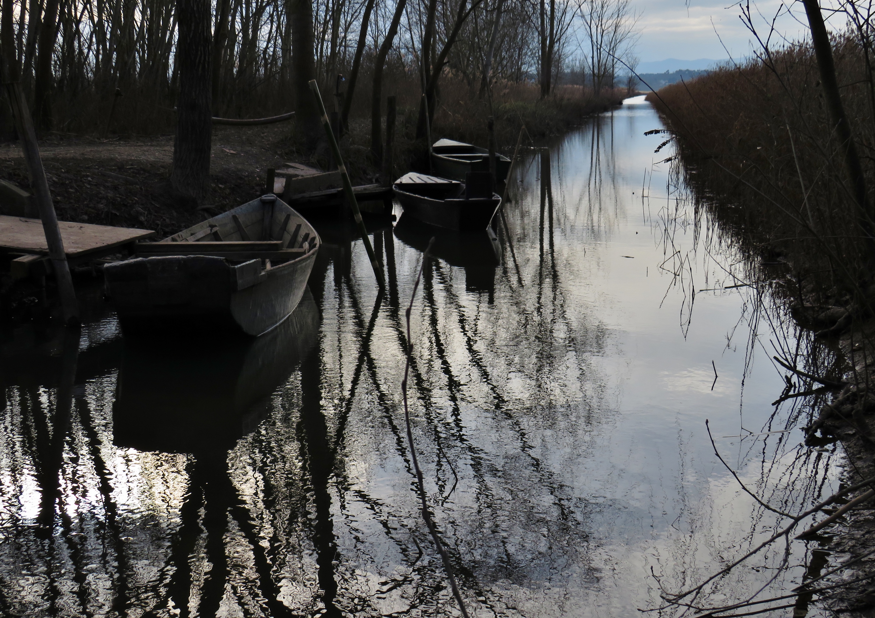 La quiete del Padule in inverno di Giorgio Lucca