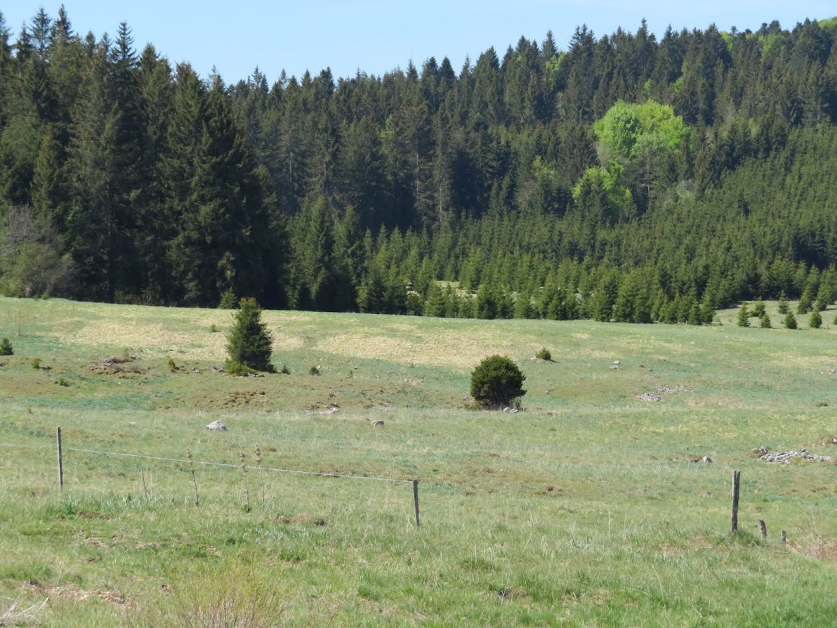 Plateau du Retord et vue des Alpes en bécane.. CBl9FldVWFH2TjYINsE5m3XwMae0DwyBzH4mJGUFINPNvnBodCW9jbLJqQ9DJtBCnn3BifOAPo7LriL5GE345xRXvaTLEumKBDQSJyX_FUr1FpOD7-gceq-oyxFBAkXzbD2o_FF9vG-acBfY3tOJJ-69huixByYKr3pDWxgdLF8D0pidZ9FBQKGMUGtL_l35F98r5qj-vRo3Cpt5VuqCwymc-aa5hc7M1VF5SUiUQd550T6ElnhpcM89MTAKFtbk2rnv1q46ZvitP1Y2nqELHK7PddWi7KWAtfS34BXX1CWsXAEyBmys_gsYPuwRBbf3LsfzpBl9DXQ-r2j5mxrs2xewgglCLMBECBfI8zsssohKmtYX35yxVpZfzDFQ2uSHlJfG3axycO_uFU0bo8s0J0-_qJfA9pj9iZ1poMUbIV89KNb7r_5mTKm6QY-I5SyA2JFd4ubbHghqmXqRuOZFPPmdEo6p7NES1DptF1FPvzr4j5mCYM9VExE1QKTlY6K7GT79ITAUfvAOI5VTQGMMu5P6E_B9mzVGR6mu6kcwMLWkFQ5AsUNxWd5fOyrvTQUQik2v8TF_NgeLsCAN2S4W_XSsTY16KitoTlP5OjVcS0mrhw8ecQBNmM0NIfikpKuGzcqFBTZacqzZcZTMN1vo6wADTaEZ9b8q00pFq08faHc=w1192-h894-no