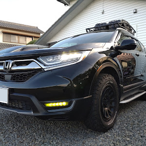 CR-V RW1