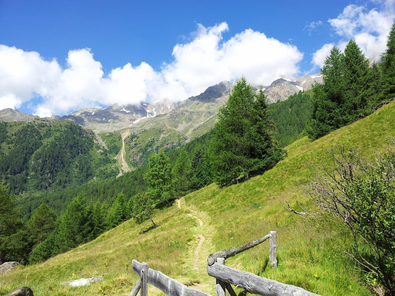 Tra alti e bassi di supergigi