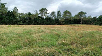 terrain à La Lande-de-Fronsac (33)