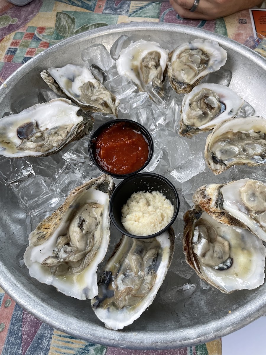 GF oysters