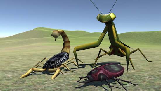  Bug Battle 