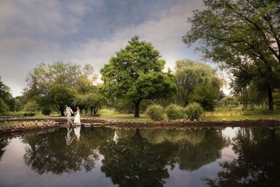 Wedding photographer Alex Garcia (garciaphoto). Photo of 2 November 2017