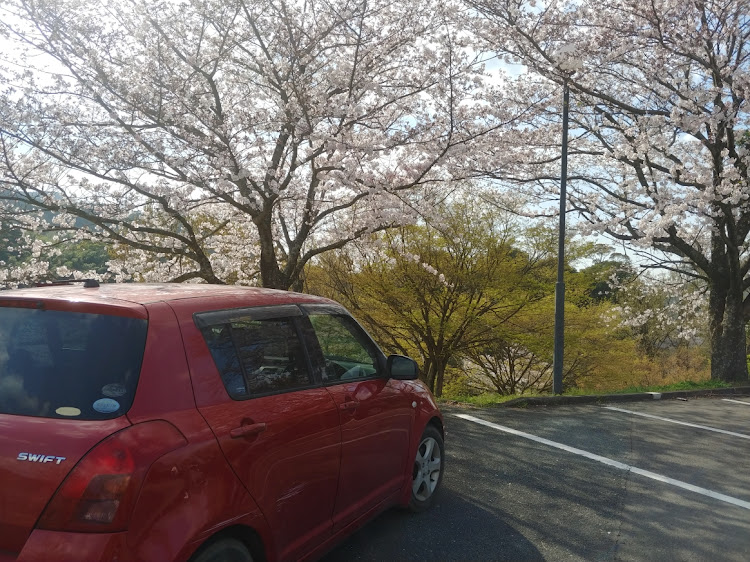スイフトの子供・桜・公園・絶景・景色に関するカスタム事例の投稿画像3枚目