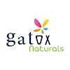 Gatox Natural Ice Cream