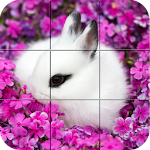 Cover Image of 下载 Puzzle - Cute bunnies 1.28 APK