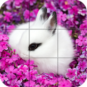 Puzzle - Cute bunnies 1.27 Icon