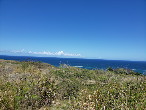 Land 2
