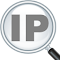 Logo položky IP Address and Domain Information