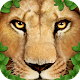 Ultimate Lion Simulator Download on Windows