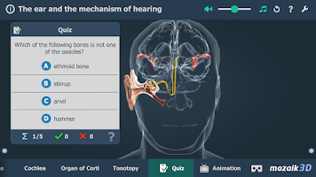 The mechanism of hearing 3D Screenshot