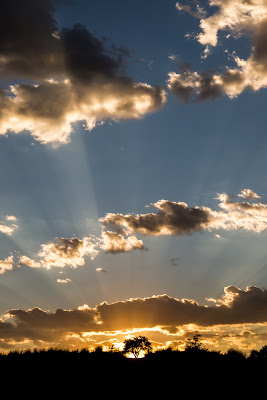 Alba in Kalahari di Mizio