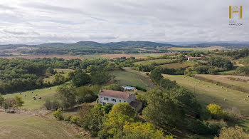 propriété à Fanjeaux (11)